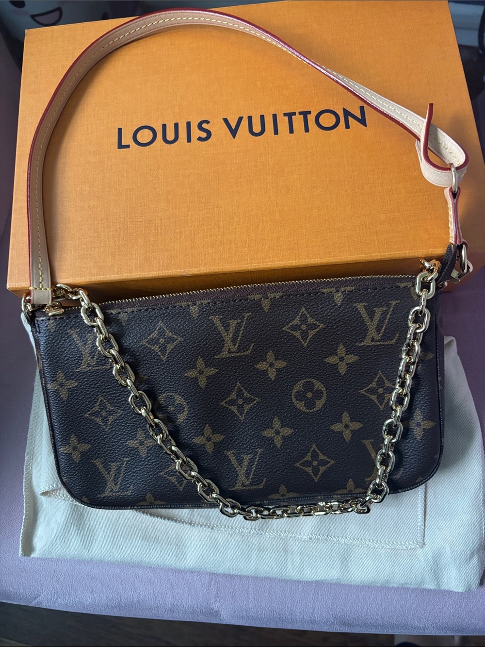 Like New!!! Pristine Louis Vuitton Pochette Accessoires